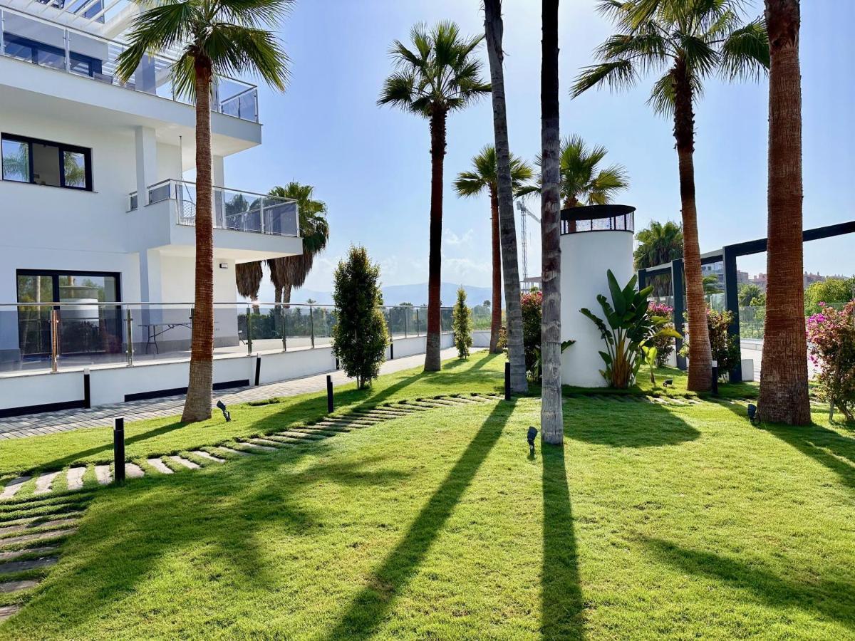 Sensacional Aguacate * Motril